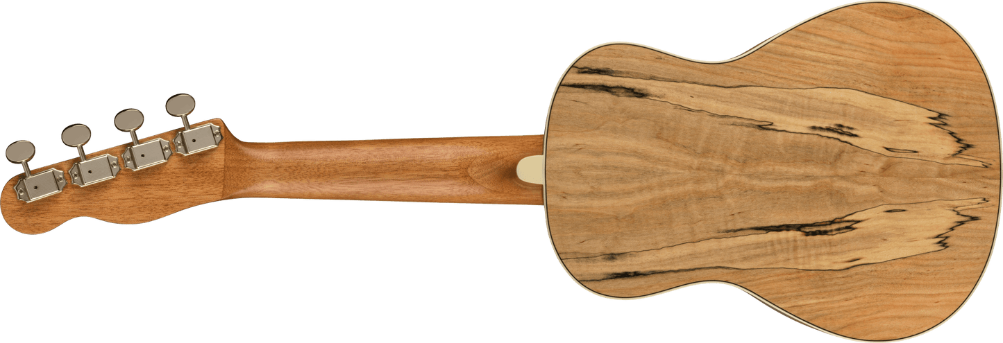 Fender Zuma Exotic Concert Ukulele, Walnut Fingerboard, Spalted Maple 0970450594