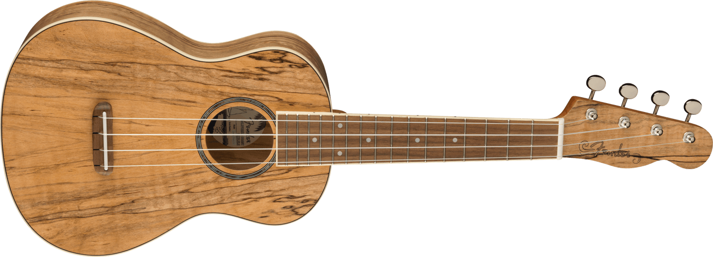 Fender Zuma Exotic Concert Ukulele, Walnut Fingerboard, Spalted Maple 0970450594