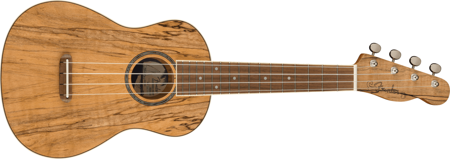 Fender Zuma Exotic Concert Ukulele, Walnut Fingerboard, Spalted Maple 0970450594