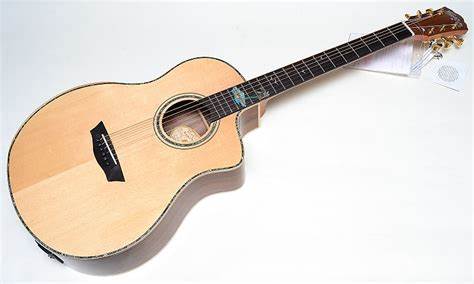 Washburn Bella Tono - Acoustic Electric Guitar