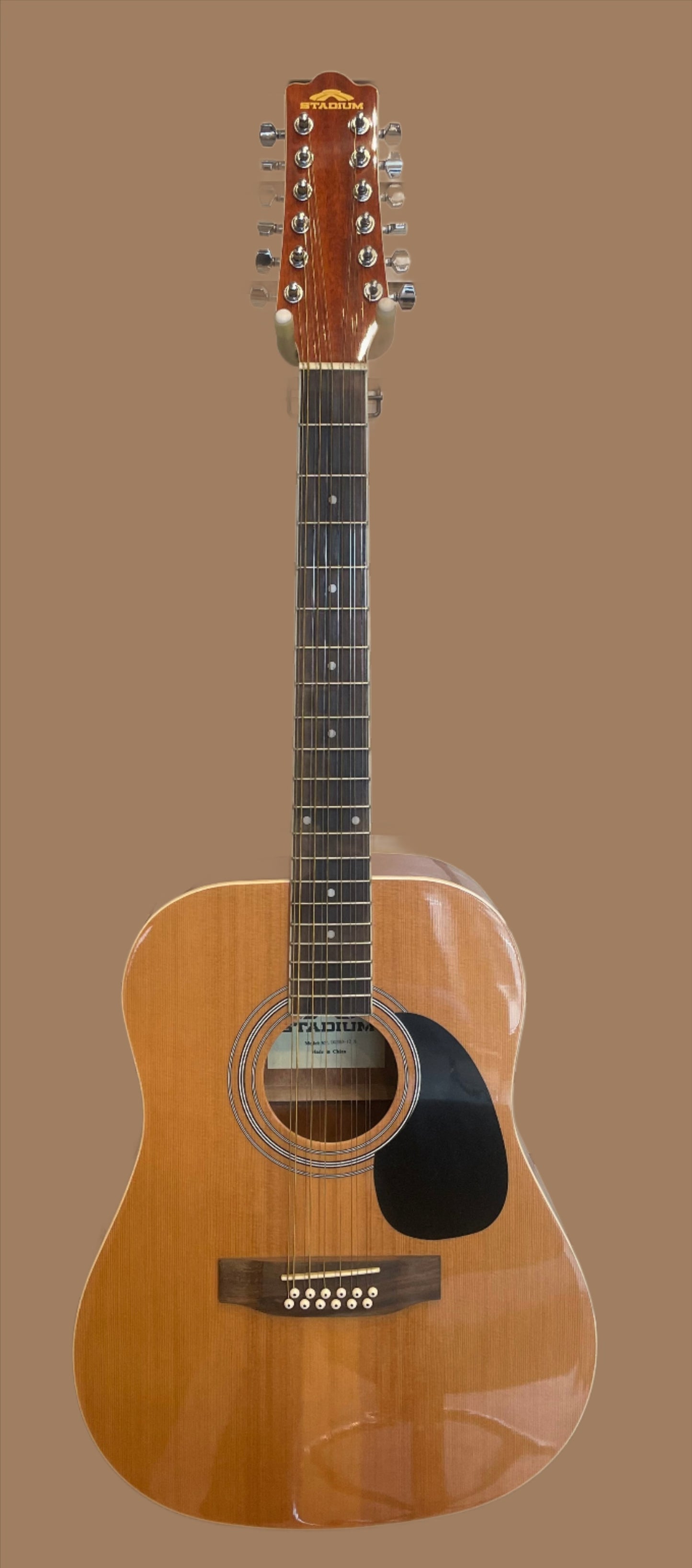 Stadium DG200-12N 12-String Acoustic Guitar - Poppa's Music