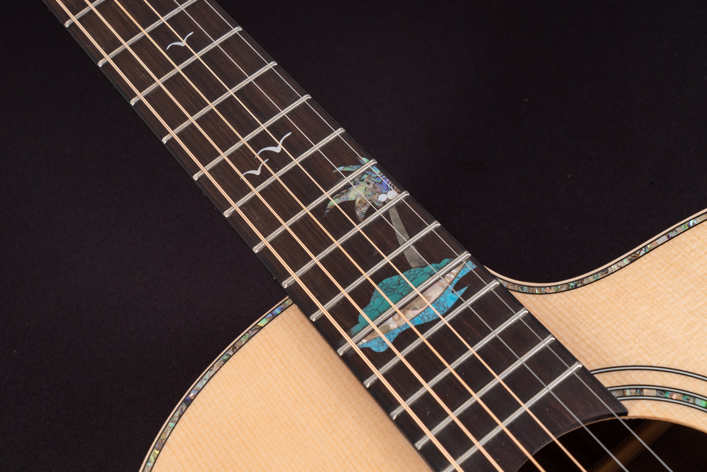 Washburn Bella Tono - Acoustic Electric Guitar