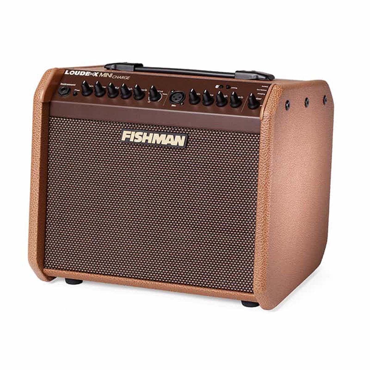 Fishman Loudbox Mini Charge 60 watt Portable Acoustic Guitar Amplifier