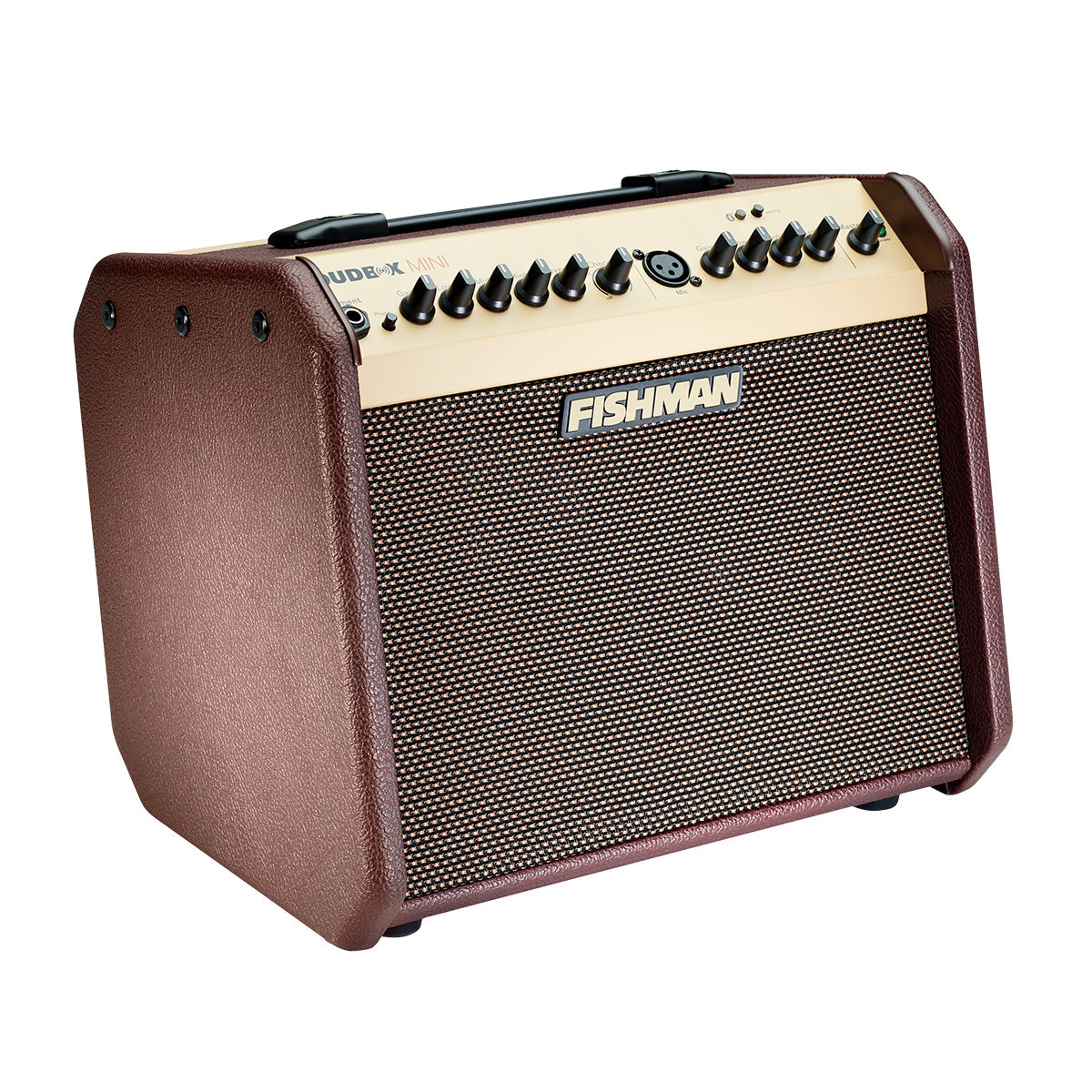 Fishman Loudbox Mini 60 watt Acoustic Guitar Amplifier
