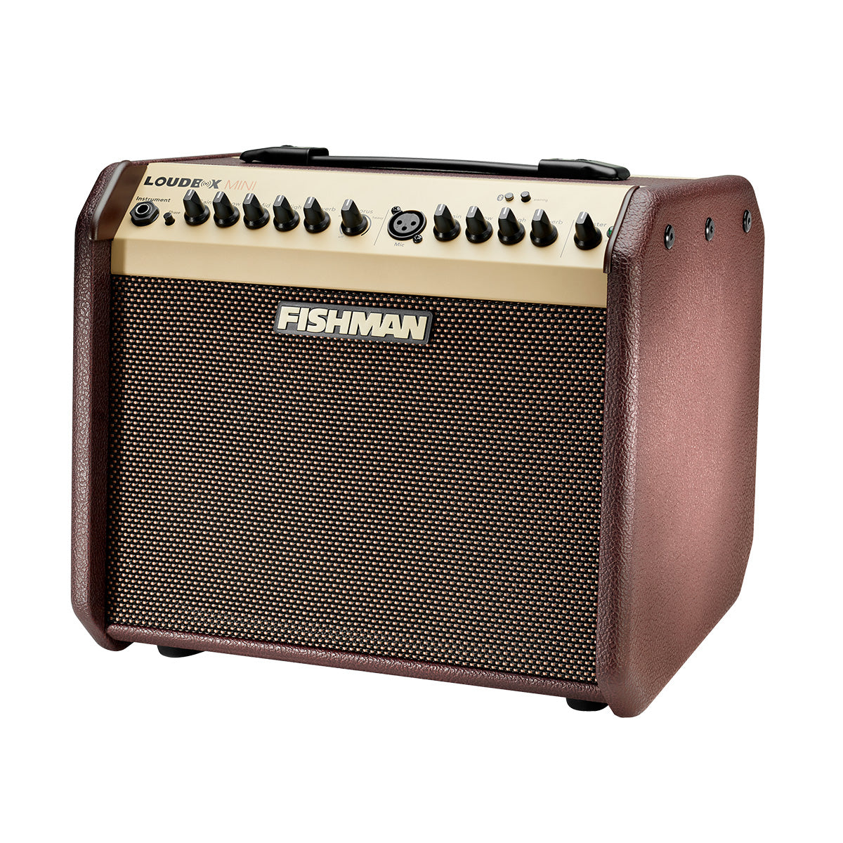 Fishman Loudbox Mini 60 watt Acoustic Guitar Amplifier
