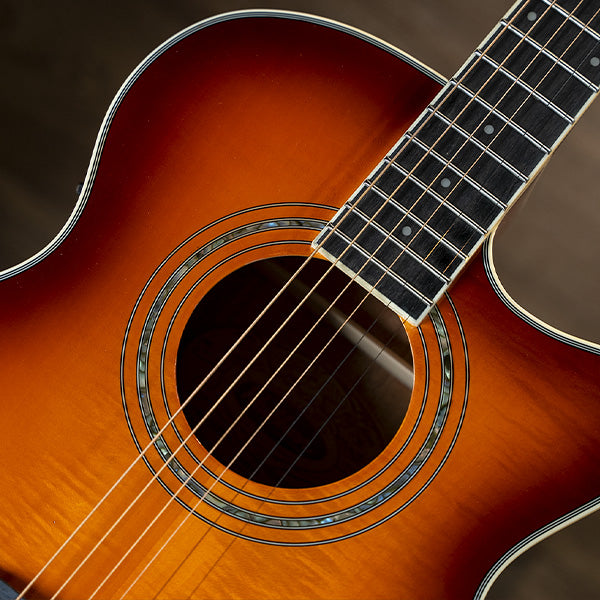Washburn EA15 - Acoustic Electric Guitar