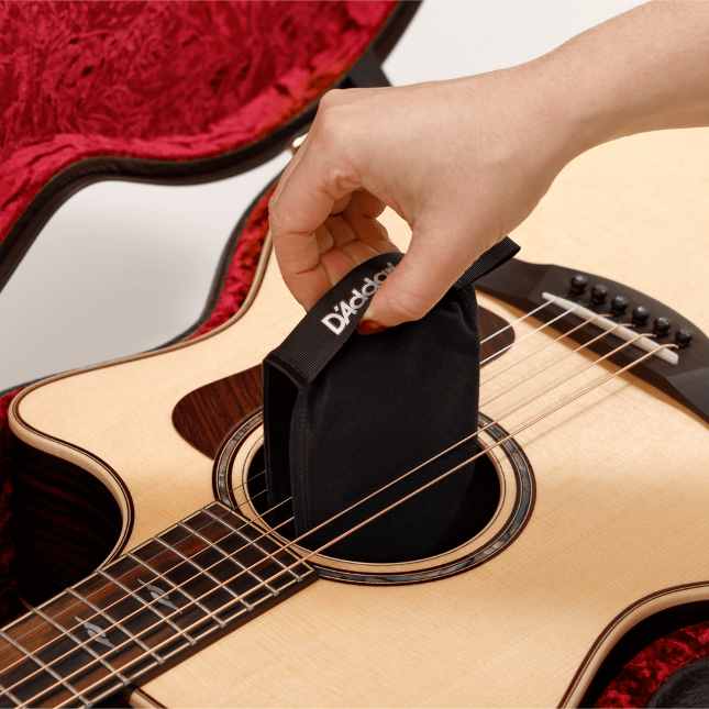 D'Addario Humidipak Restore Kit PW-HPK-03