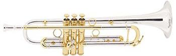 Conn Professional Vintage One Trumpet - 1BSSPG - Poppa's Music