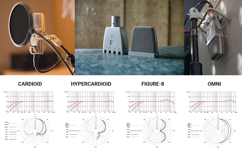 sE Electronics Multi Pattern Large Diaphragm Microphone with Titanium Capsule SE-T2 - Poppa's Music