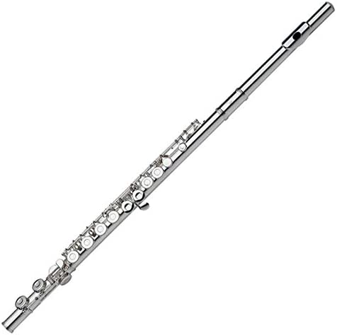 Gemeinhardt Flute (2SP) - C Foot - Silver Plated Head - Poppa's Music