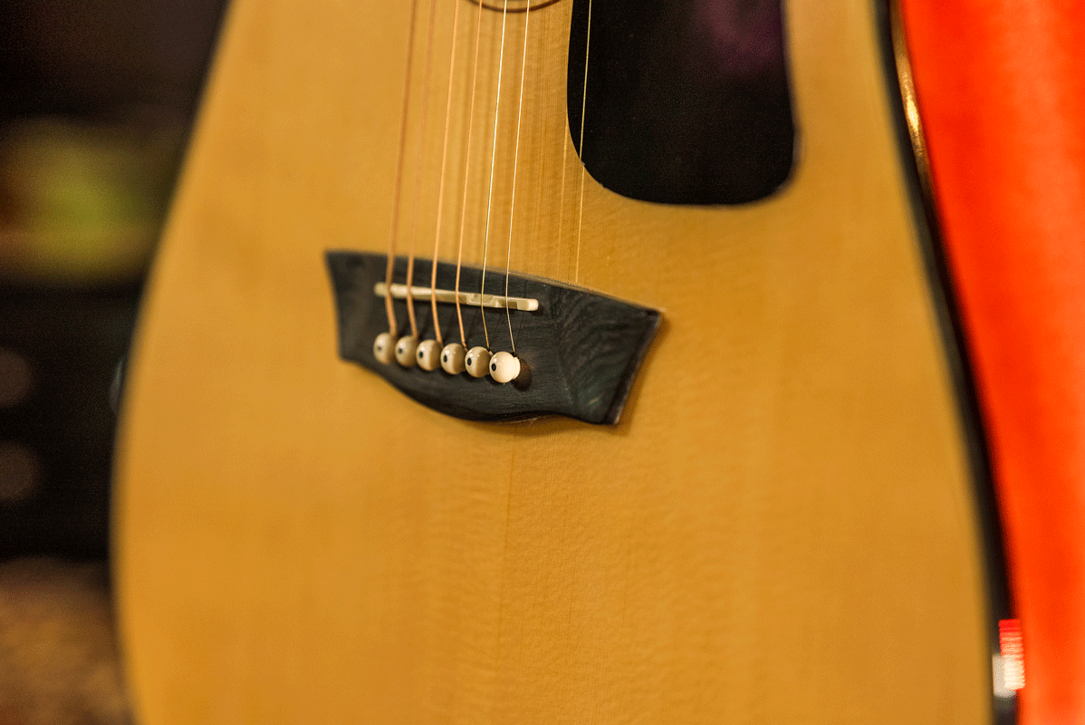 Washburn D5 Apprentice Series Dreadnought Acoustic Guitar - Poppa's Music