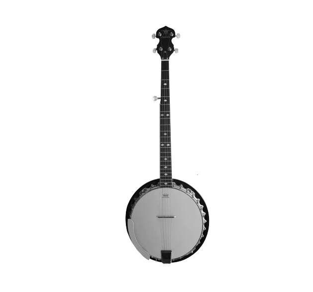 Danville Banjo - Premium Banjo from Danville USA - Just $399.95! Shop now at Poppa's Music