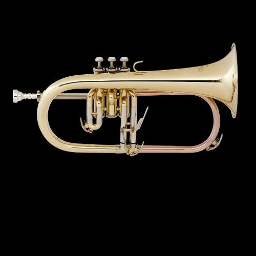 Bach FH600 Flugelhorn - Poppa's Music