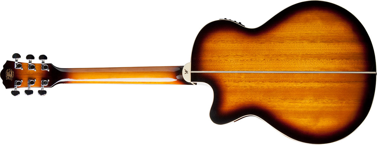 Washburn EA-15 Festival Series Acoustic Electric Guitar - Poppa's Music