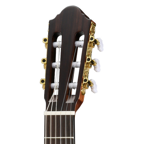 Walden N550E Classical Natura 500 Series Guitar - Poppa's Music