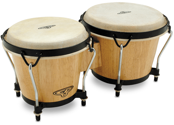 Latin Percussion CP Traditional Bongos Natural Finish - CP221-AW - Poppa's Music