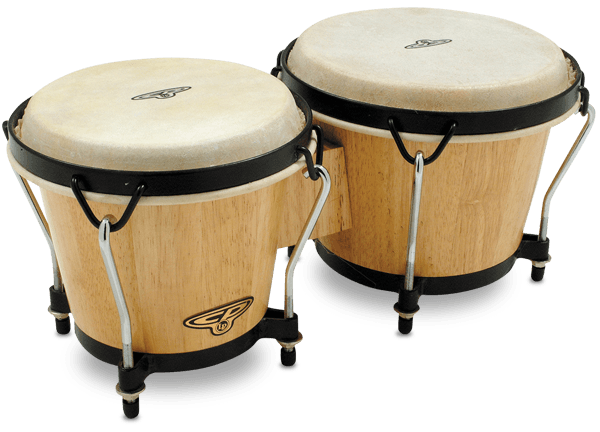 Latin Percussion CP Traditional Bongos Natural Finish - CP221-AW - Poppa's Music 