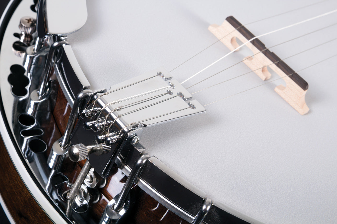Washburn Americana B11 Five String Banjo - Poppa's Music