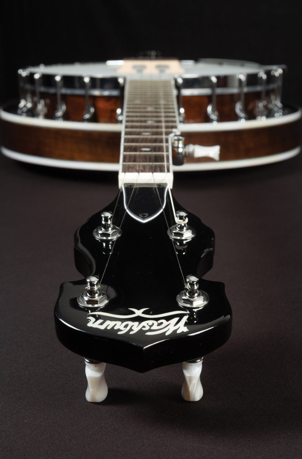 Washburn Americana B11 Five String Banjo - Poppa's Music