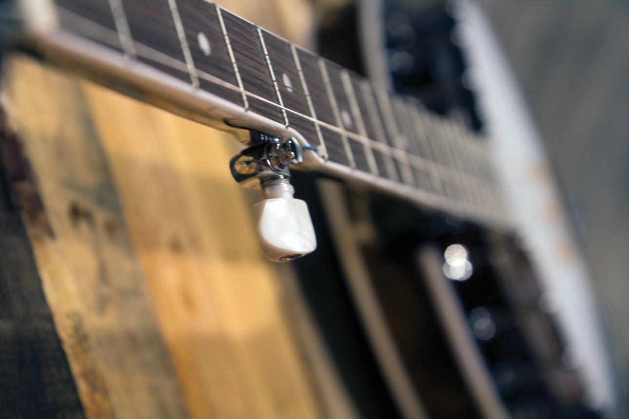 Washburn Americana B11 Five String Banjo - Poppa's Music