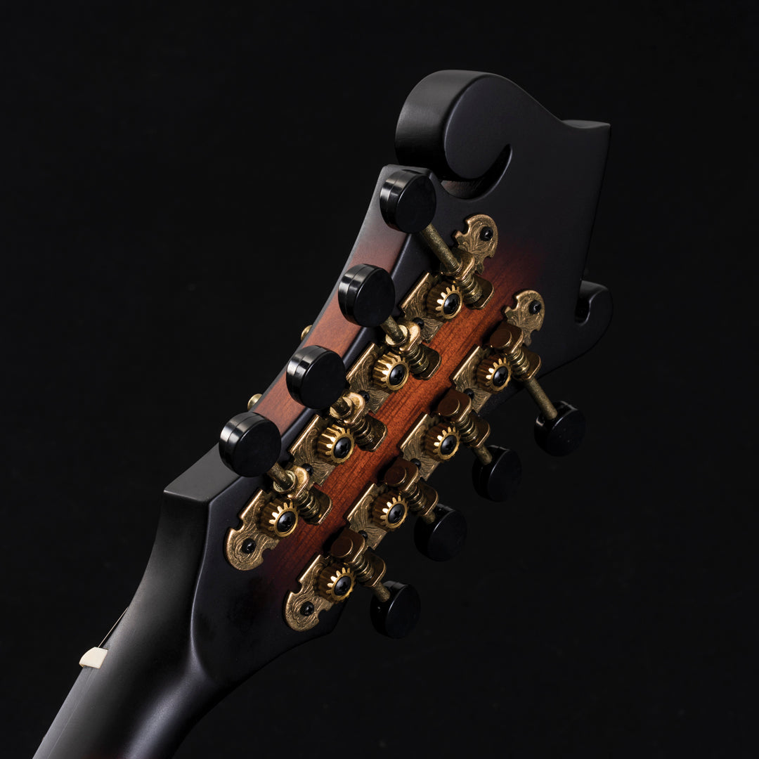 Washburn M108S American Series F-Style Mandolin - Poppa's Music