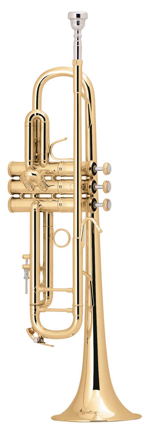 Bach Trumpet Professional Lacquer LT180-72 - Poppa's Music