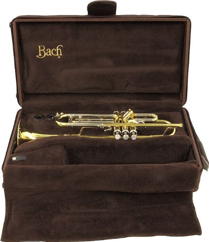 Bach Stradivarius Trumpet 180-37 ( Open Box Special) - Poppa's Music