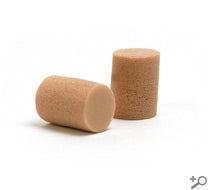 D'addario Planet Waves Ear Plugs 1 Pair - PWEP1 - Poppa's Music