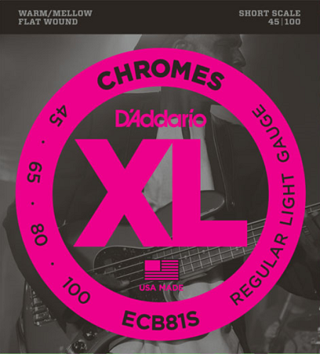 D'addario Chromes, Light, Short Scale, 45-100 Bass Guitar Strings ECB81S - Poppa's Music