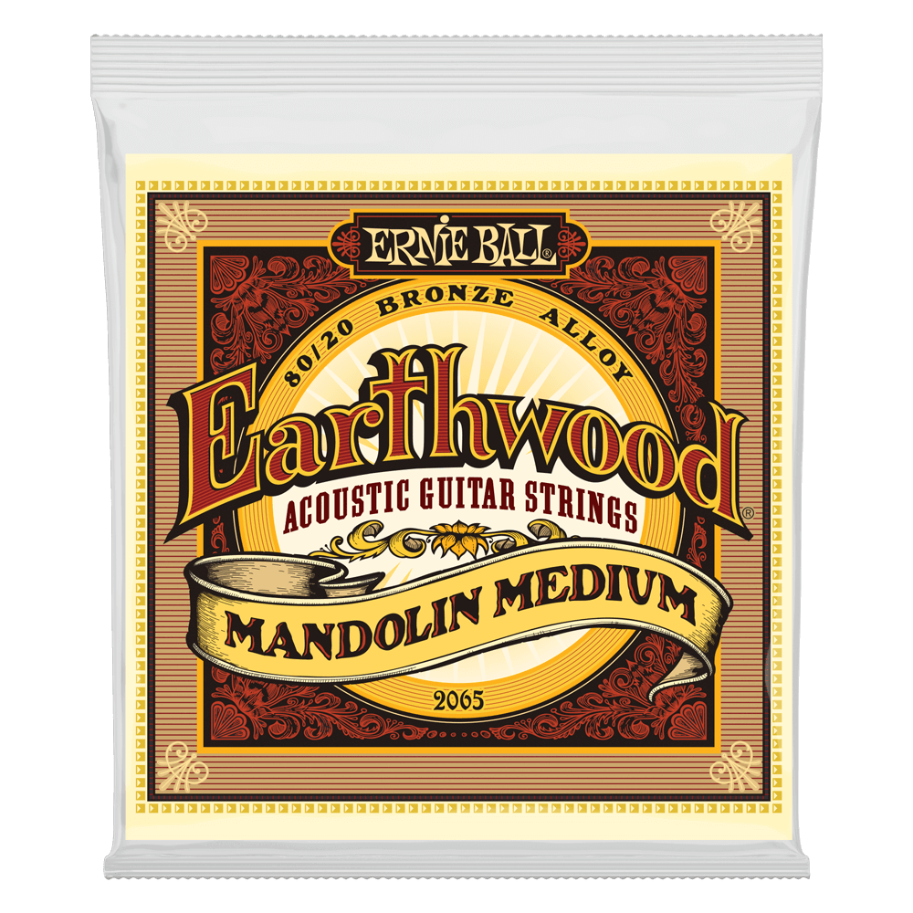 Ernie Ball Earthwood Mandolin Medium Loop End 80/20 Bronze Acoustic Guitar Strings - 10-36 Gauge - 2065 - Poppa's Music