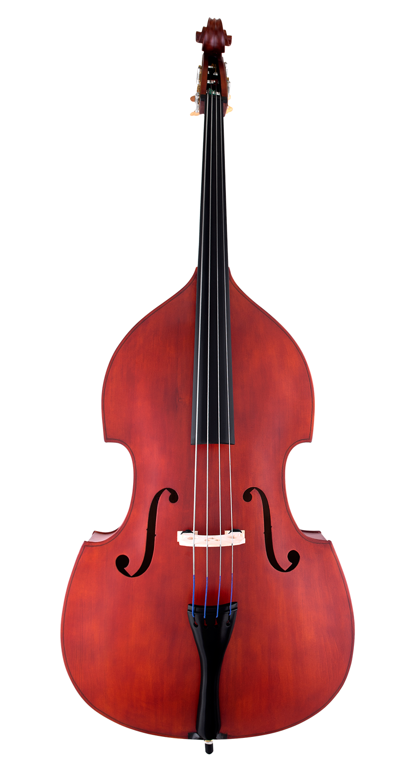 Scherl and Roth SR57 Student Double Bass - Poppa's Music