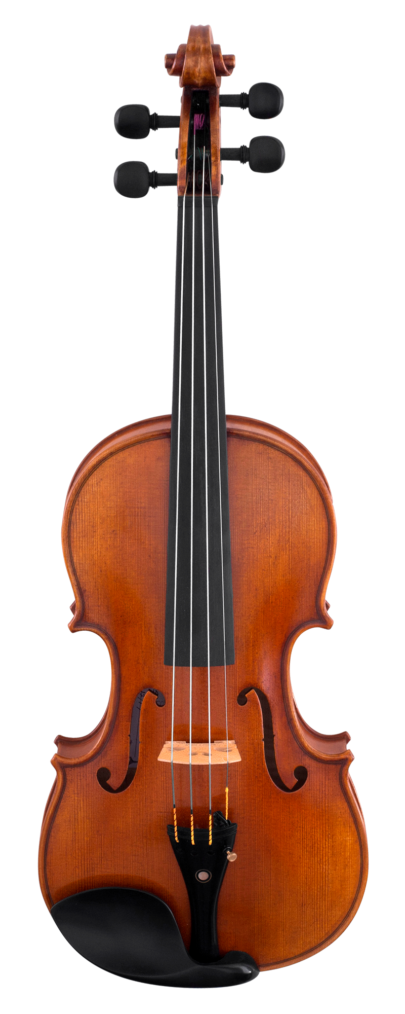 Scherl and Roth Violin SR81 Advanced Violin - Poppa's Music