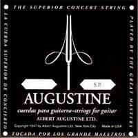 Augustine Classical Guitar 6 String (LOW E) Sp - Poppa's Music