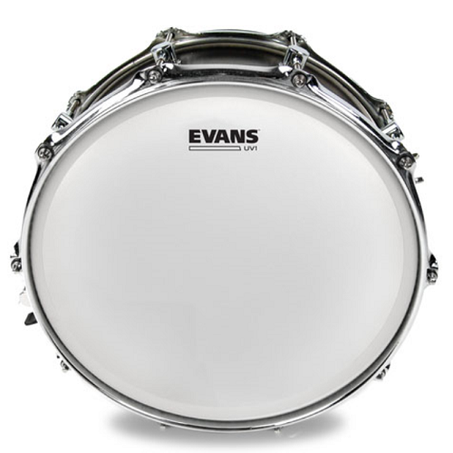 Evans Drum Head Coated Snare Batter 13 Inch - Poppa's Music