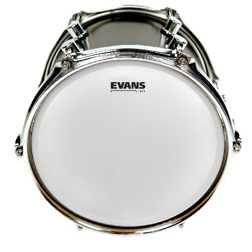 Evans UV1 16 Inch Coated Drum Head - B16UV1 - Poppa's Music