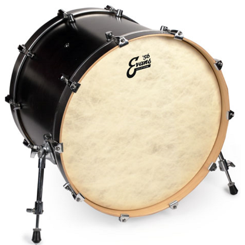 D'addario Calftone Bass 22 Inch Drum Head - Poppa's Music