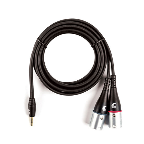 D'addario Custom Series 1/8" to Dual XLR Audio Cable - Poppa's Music 