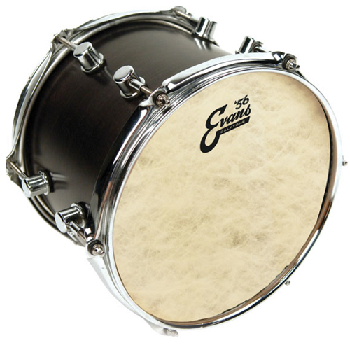 Evans Calftone Tom Batter 10 Inch Drum Heads - Poppa's Music