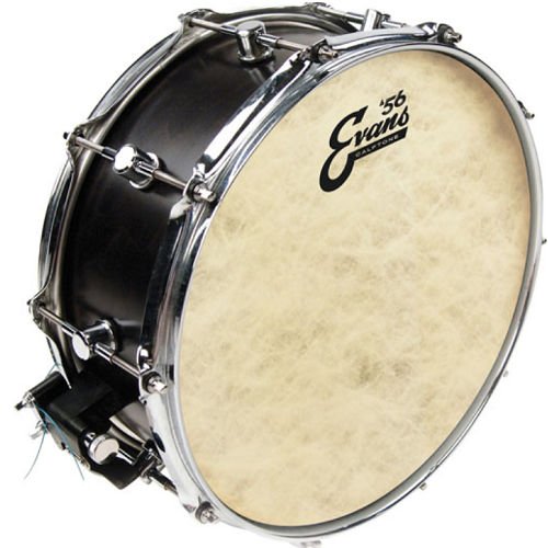 Evans Calftone Snare Batter Drum Head - Poppa's Music 