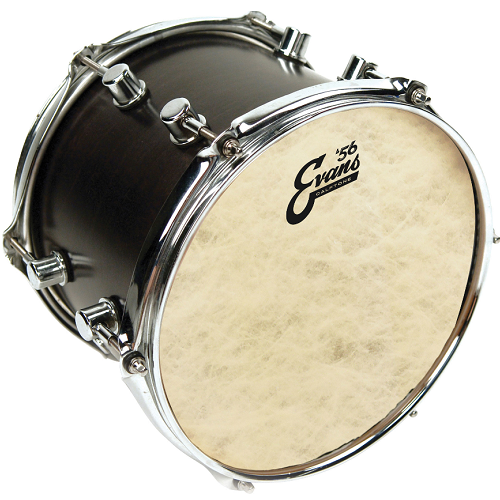 Evans Calftone Tom Batter 13 Inch Drum Head - Poppa's Music