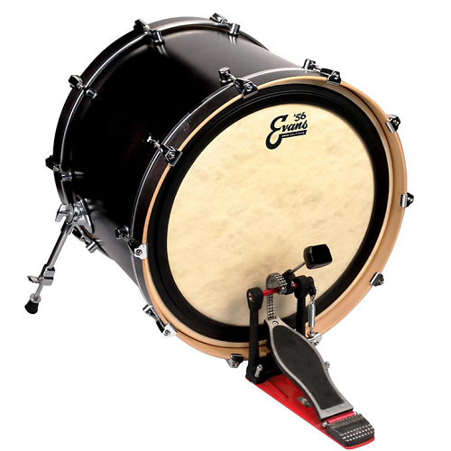 Evans Calftone Tom Batter 16 Inch Drum Head - Poppa's Music