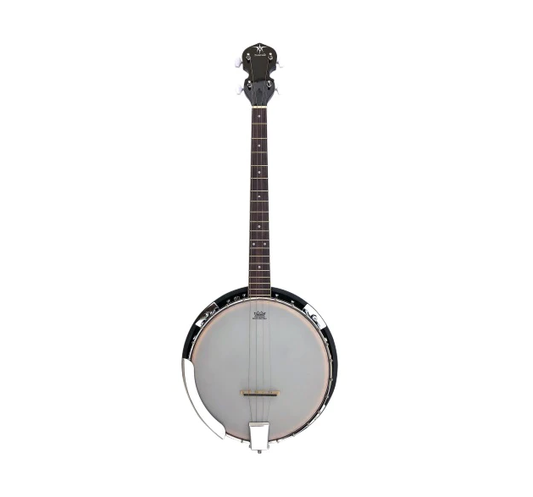Danville 4-String Tenor Banjo - Poppa's Music