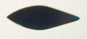 Rigotti Bassoon Blue Steel Flat Plaque - ACC173F - Poppa's Music