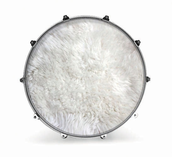 Evans Fabrics Bass Drum Head - Polar Bear Fur - Poppa's Music