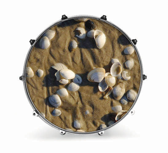 Evans Nature Bass Drum Head - Sand - Poppa's Music