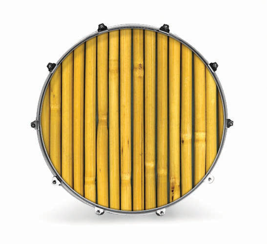 Evans Photography Series Bass Drum Head - Cane - Poppa's Music