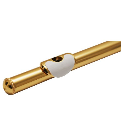 BG France Flute Lip Plate Protector - A18 - Premium Flute Cushion from BG France - Just $14.95! Shop now at Poppa's Music