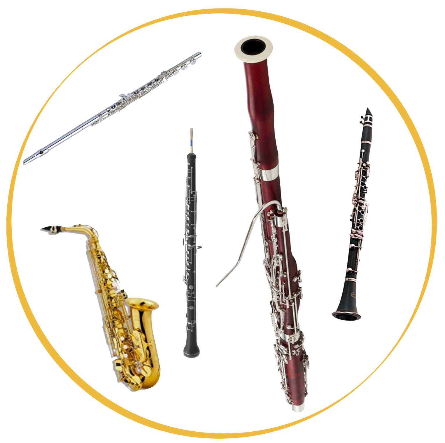 Rent Instruments in Mineola from New York's Poppas Music
