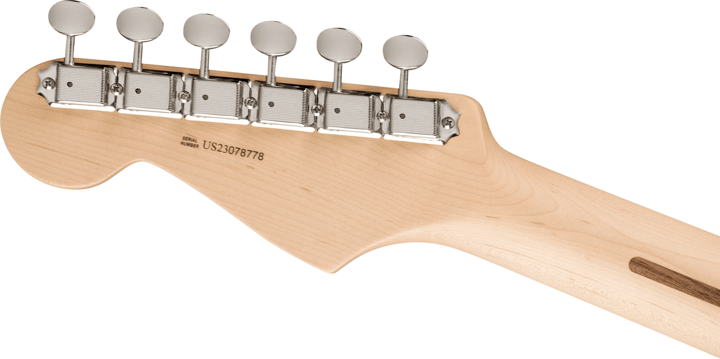 Fender Eric Clapton Stratocaster Maple Fingerboard, Black