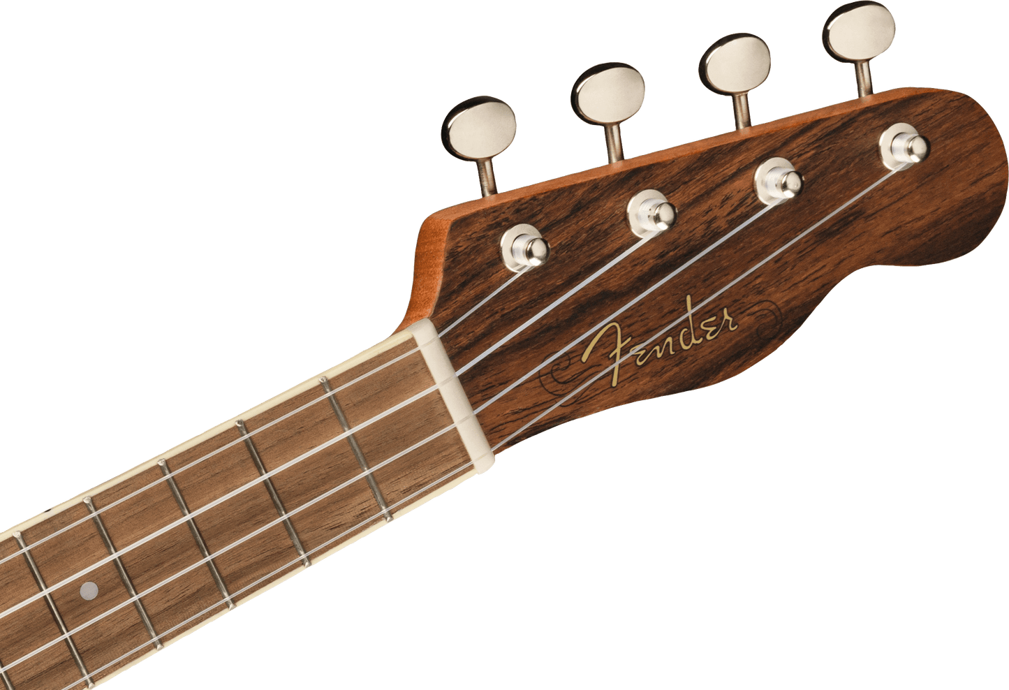 Fender Zuma Exotic Concert Ukulele, Walnut Fingerboard, Bocote
